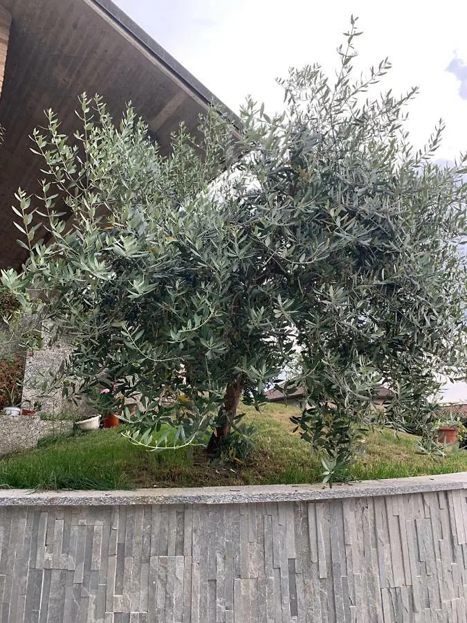 Guest house Villa Cuore Tavernerio